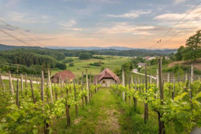 Holiday home in Trebelno - Dolenjska & Bela krajina Unter- & Weißkrain 26032